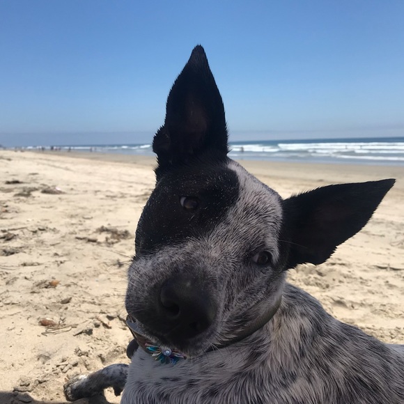 Meet your Posher, Andrea - Picture 3 of 5